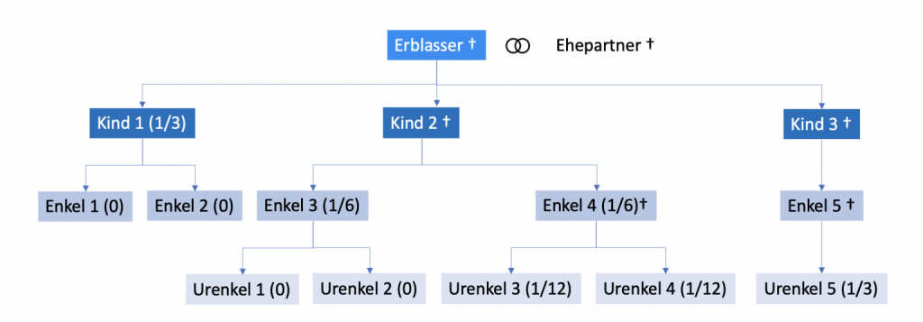 Ehegatten-Erbrecht